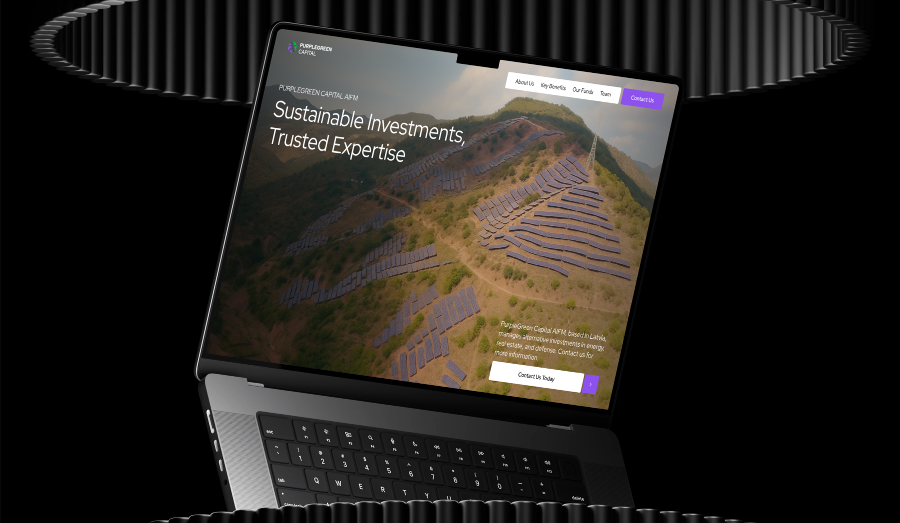 PurpleGreen Capital - Page 4